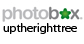 uptherighttree Photobox gallery
